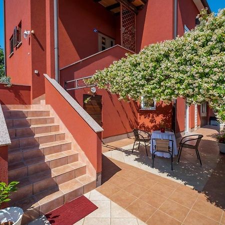 Iva House With Apartment Umag Kültér fotó